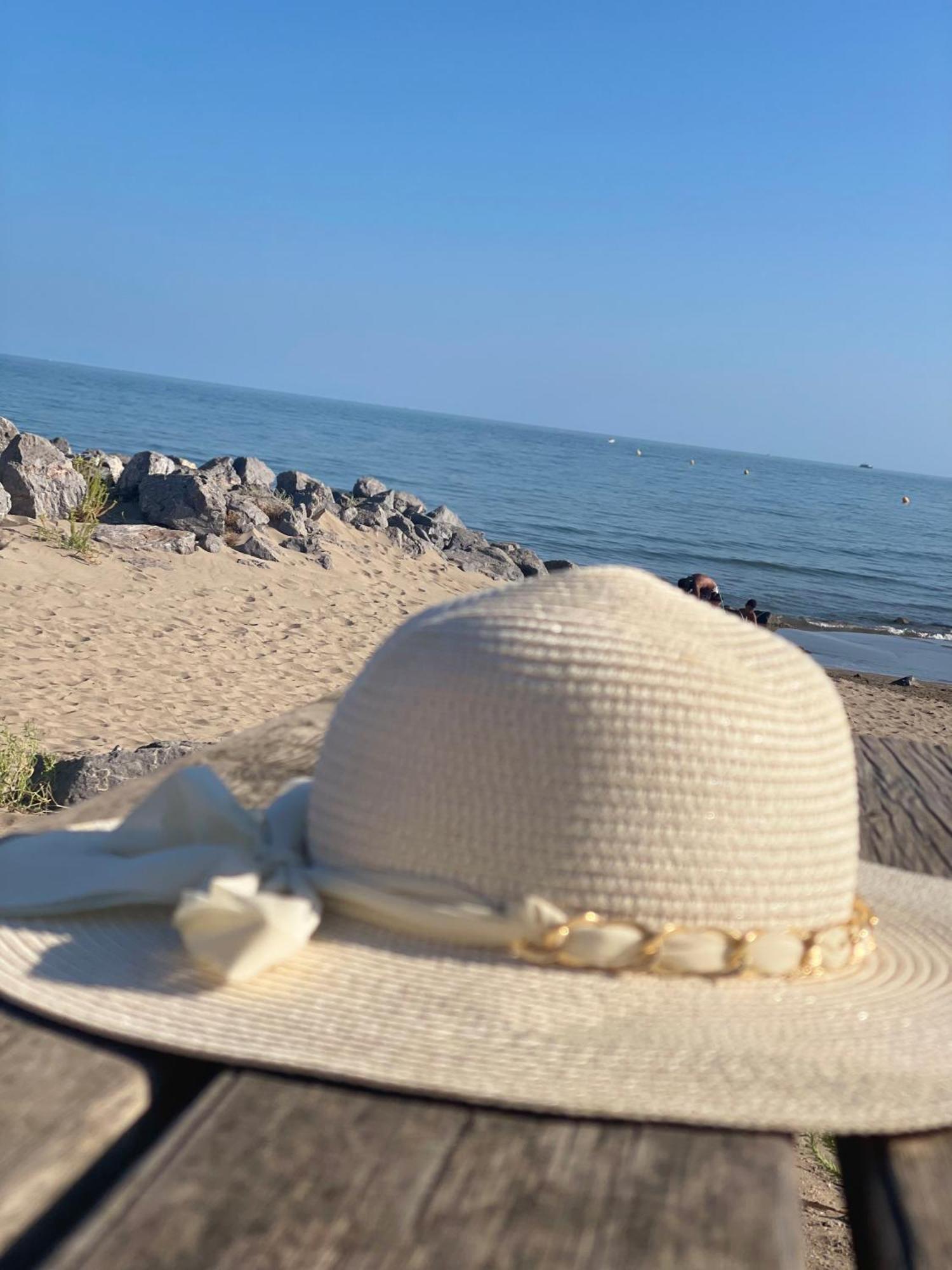 Vrasland Ter 70 M De La Plage 6 Couchages Нарбонн-Пляж Экстерьер фото